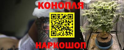 ALPHA PVP Тверь