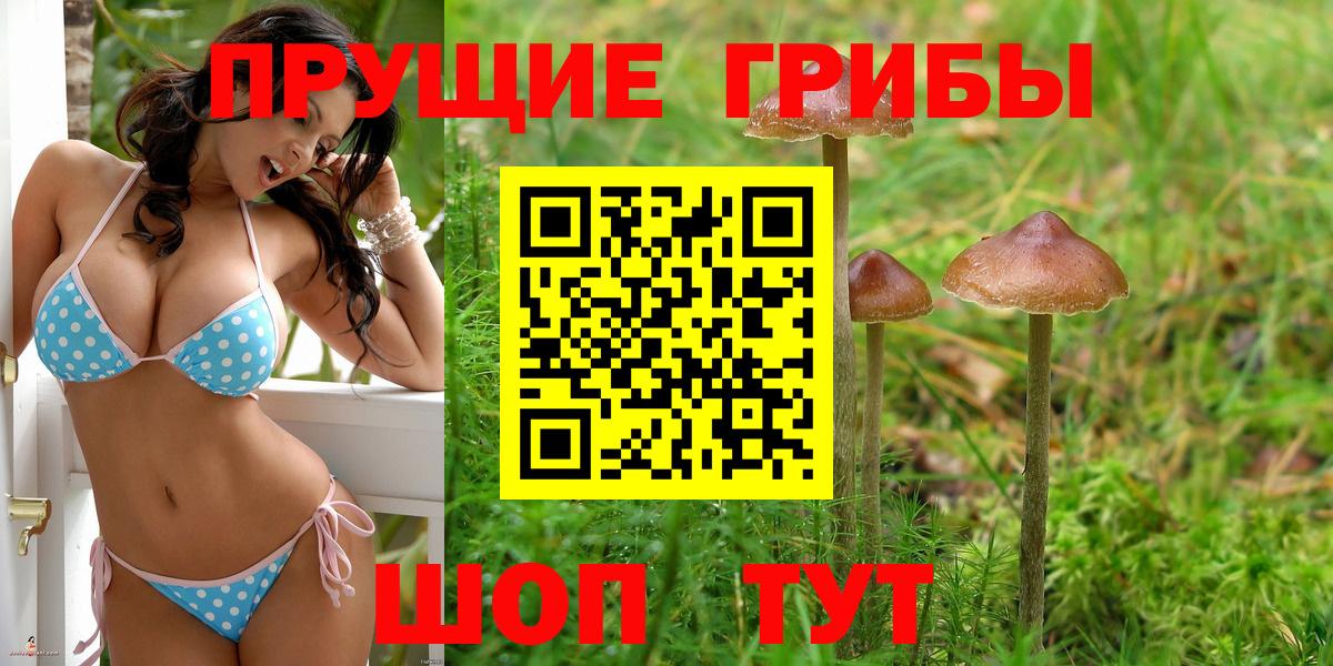 Галлюциногенные грибы GOLDEN TEACHER Новороссийск